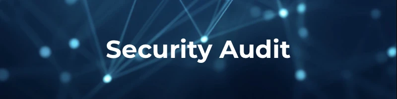 Security Audit